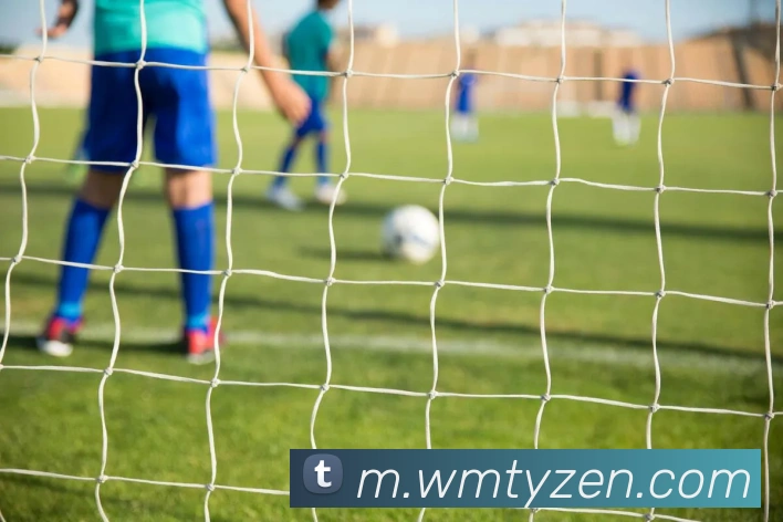 完美体育品牌故事